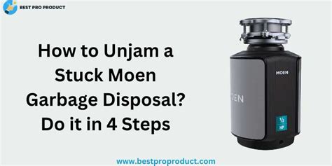 unjam moen garbage disposal|How to Fix a Jammed Garbage Disposal: 14 Steps。